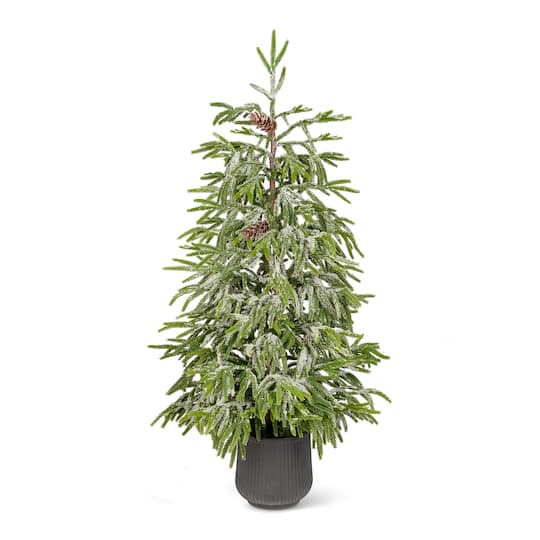Glitzhome® 4ft. Unlit Frosted Norfolk Pine Christmas Porch Tree with Pinecones